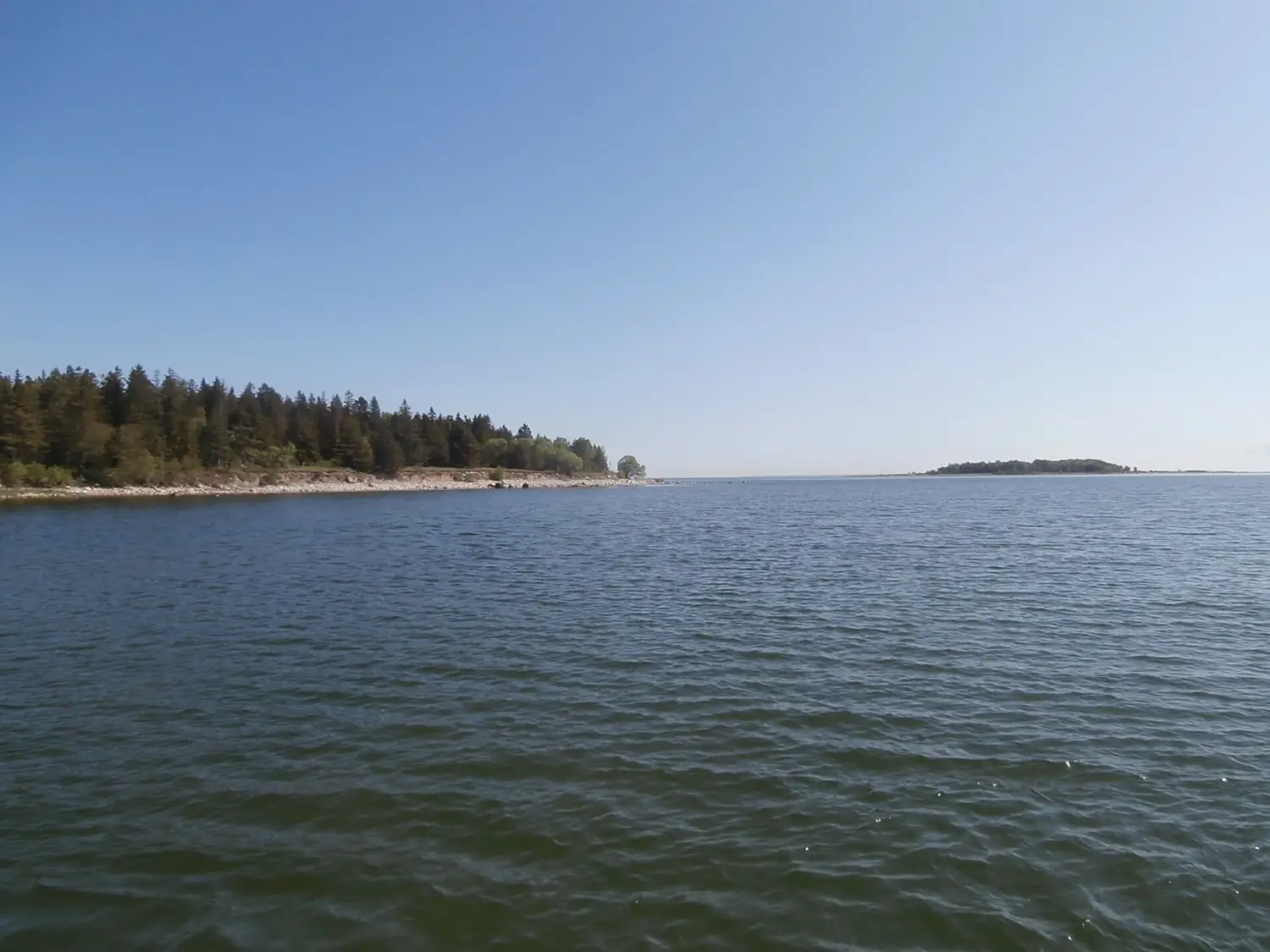 Suur salm between Aegna and Krasuli Islands Tallinn Bay Tallinn 20 May 2016