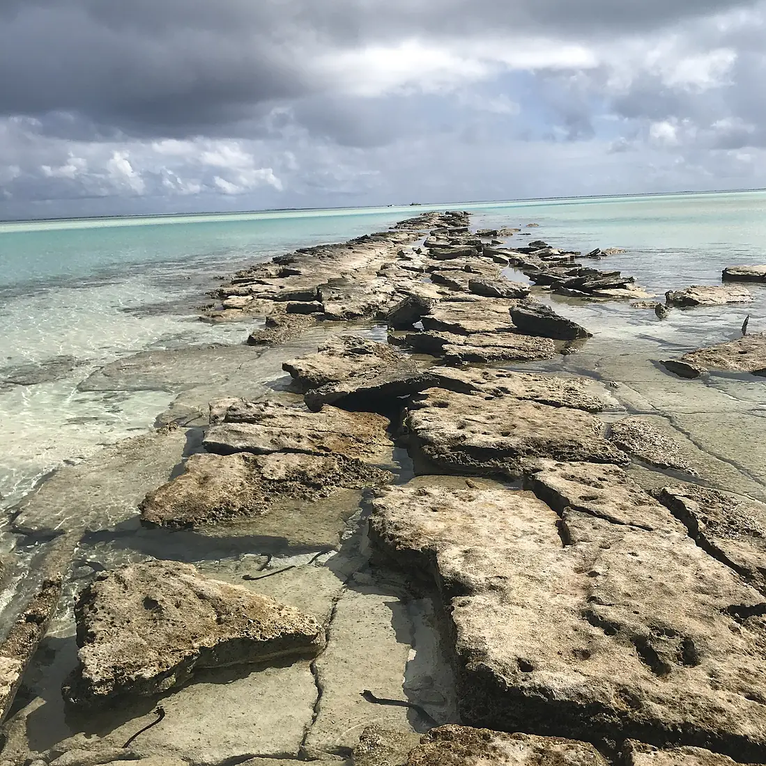 Aitutaki by Nick Longrich