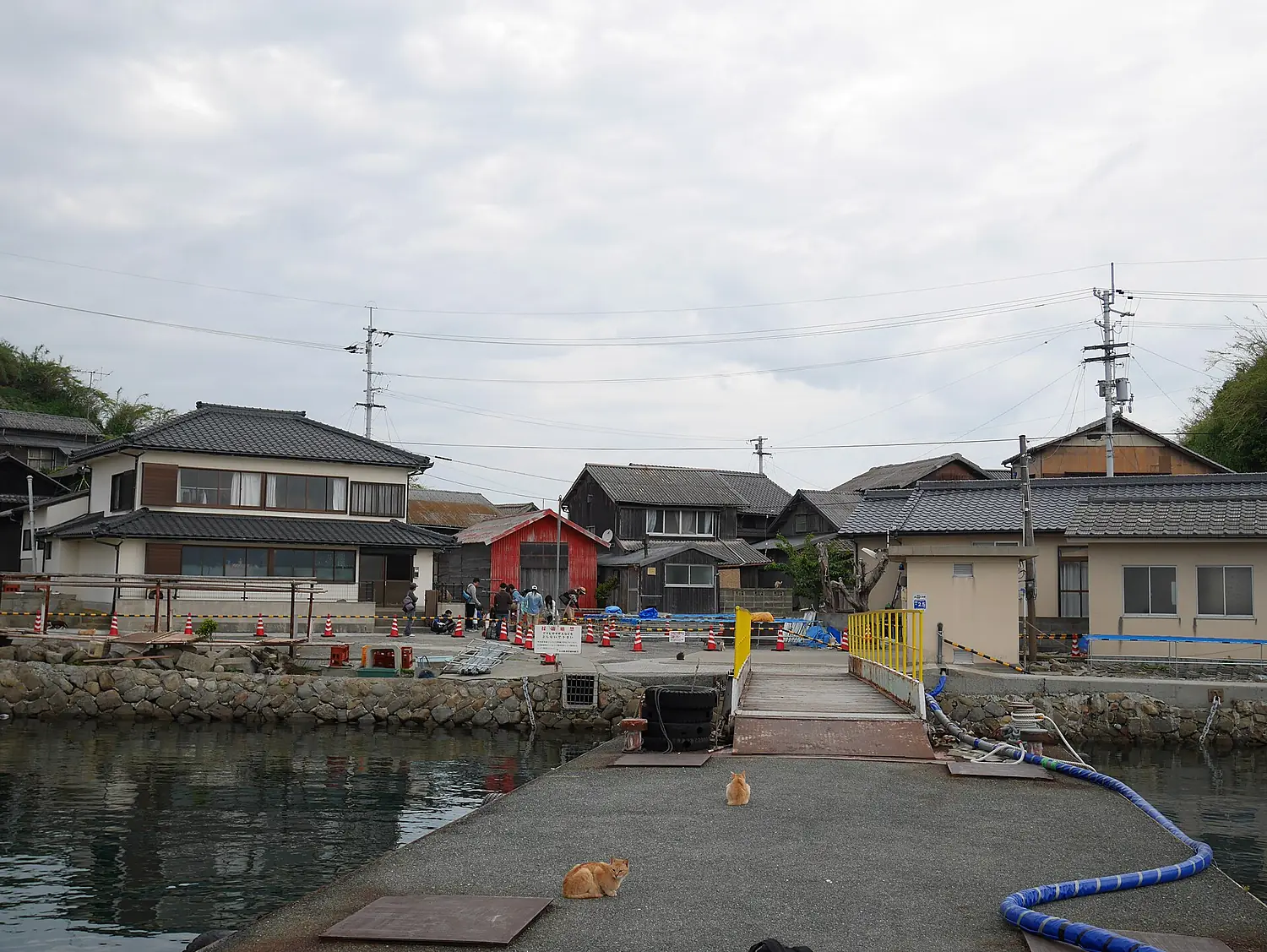 Aoshima port(Ehime)