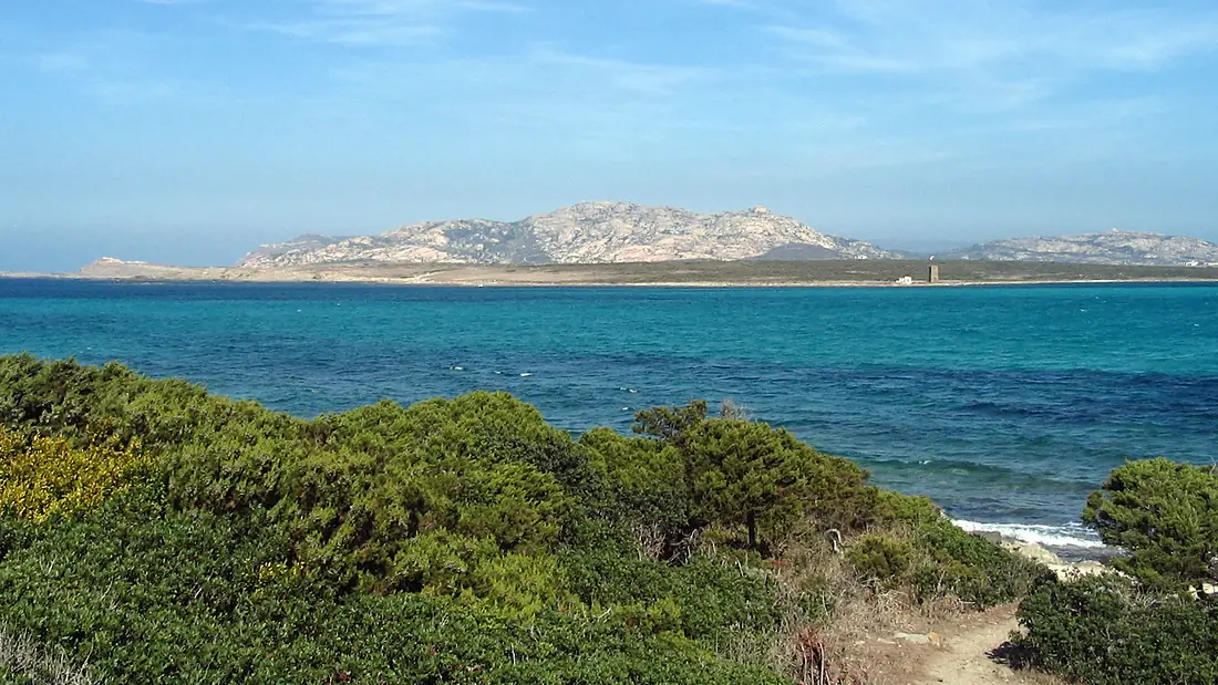 Asinara-Island01