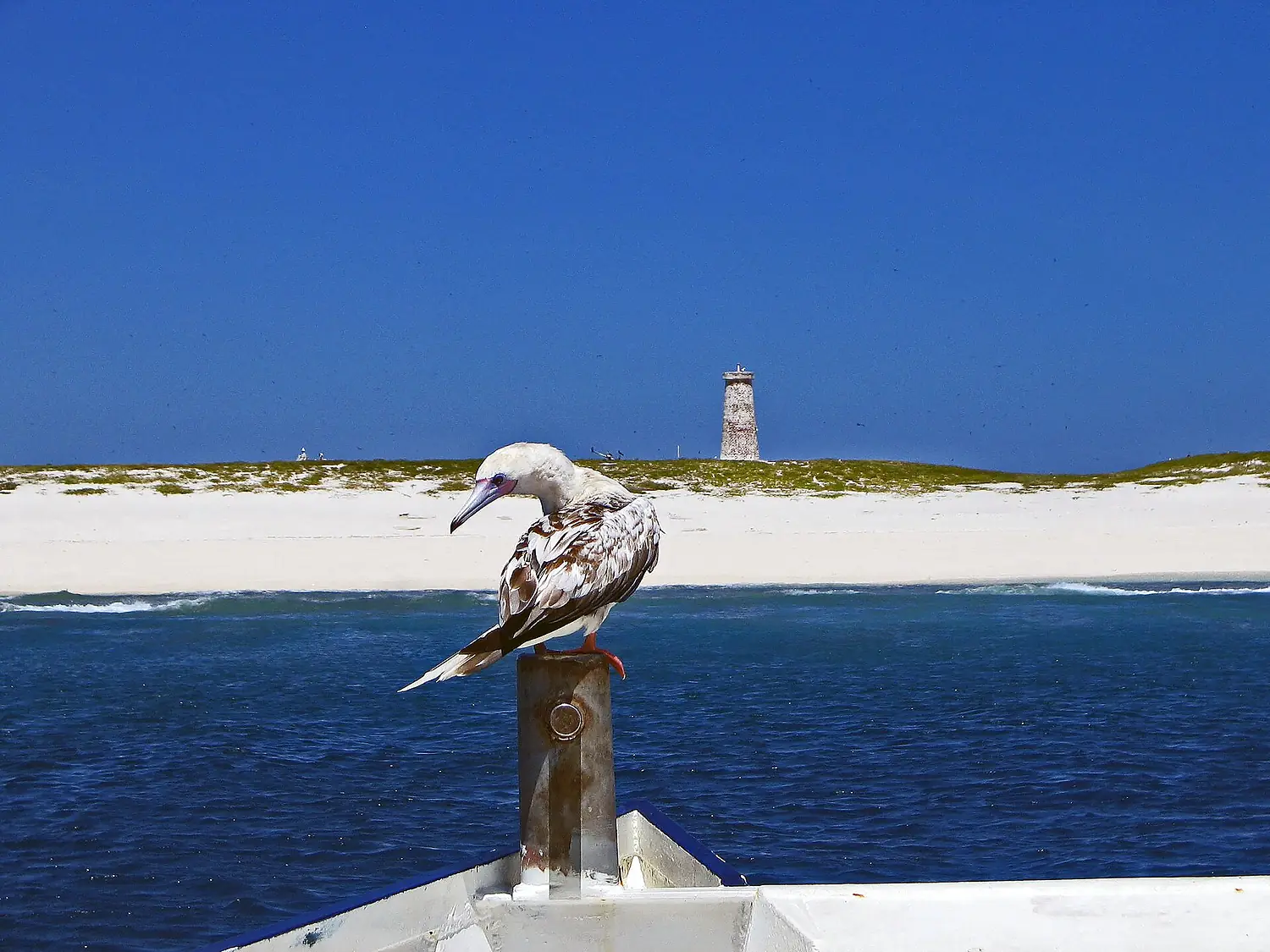Baker Island Coastline