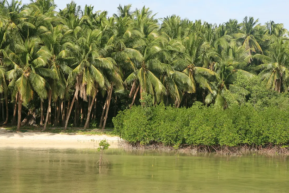 Bantayan coastline