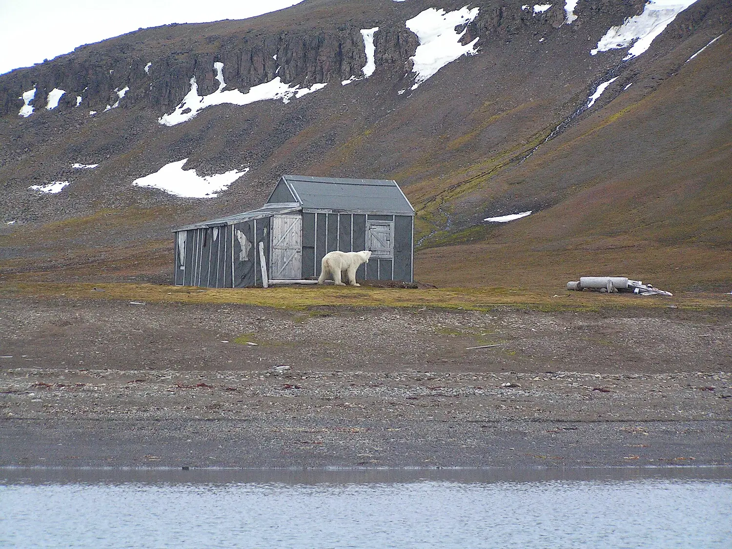 Barents island franken hut 2