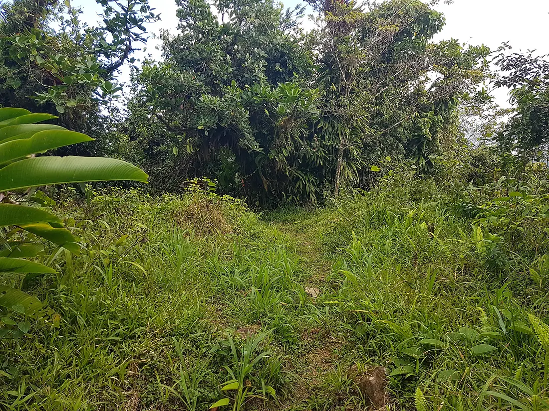Barre de l'île, lieu de croisement de diverses randonnées de la Basse-Terre