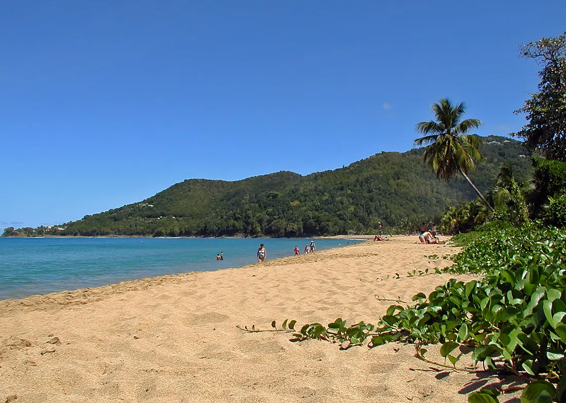 Basse-Terre (Guadeloupe)1