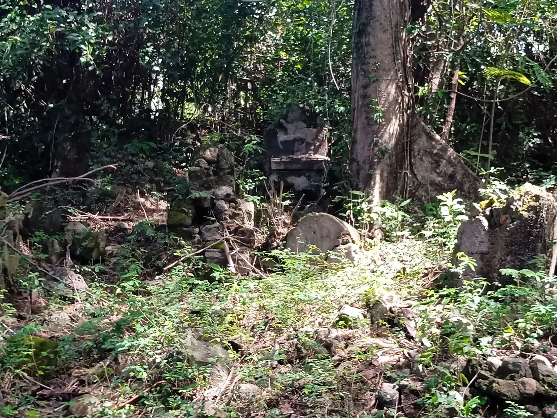 Ancien cimetière colonial à Rivière Sens (Basse-Terre) 2