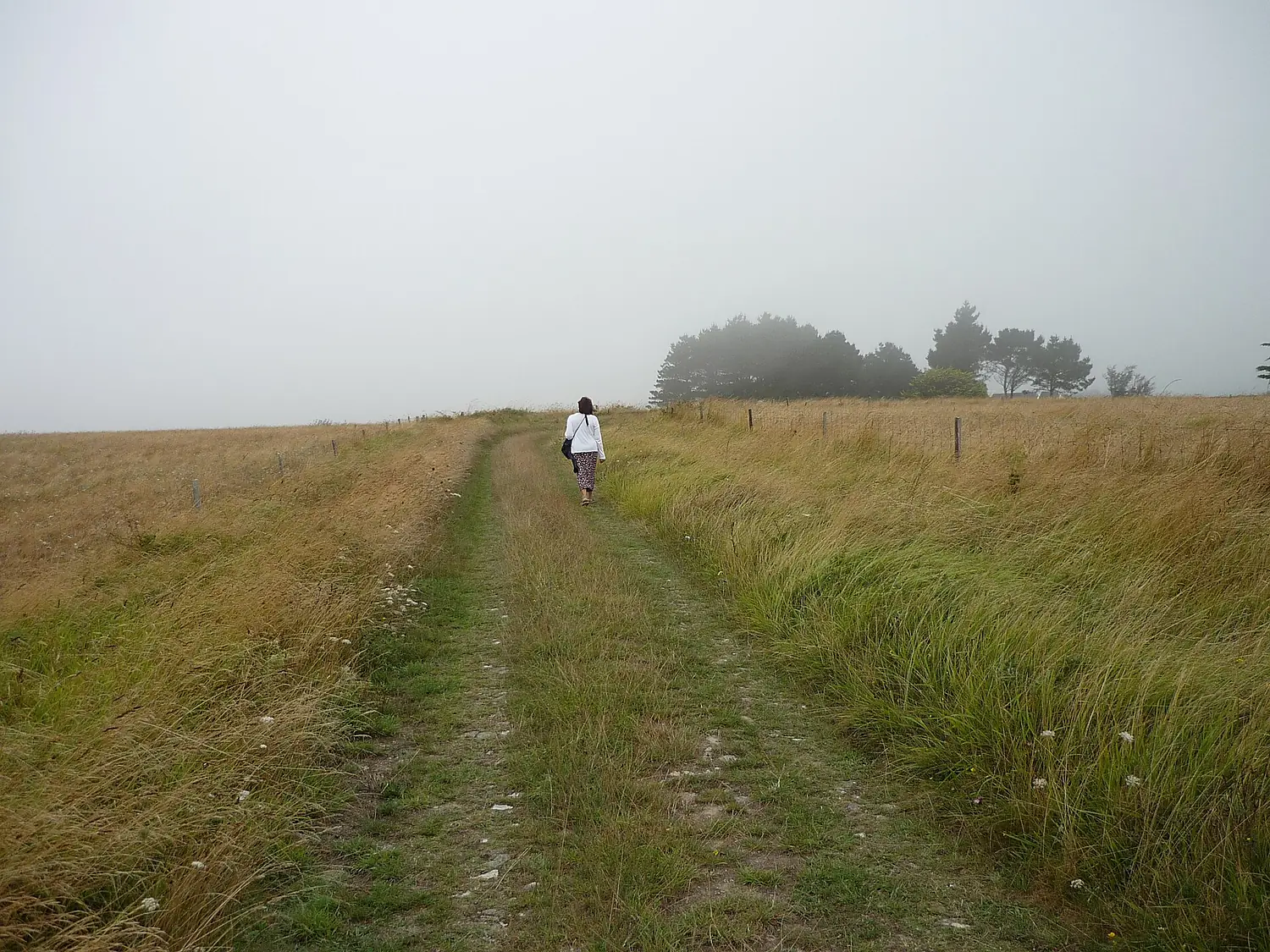 Belle-Île-en-Mer - 3 août 2008