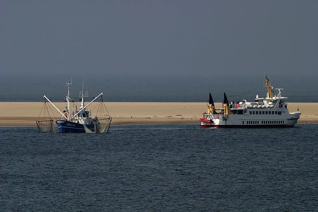 00 2306 Seehundbank “Hohes Riff” - Borkum