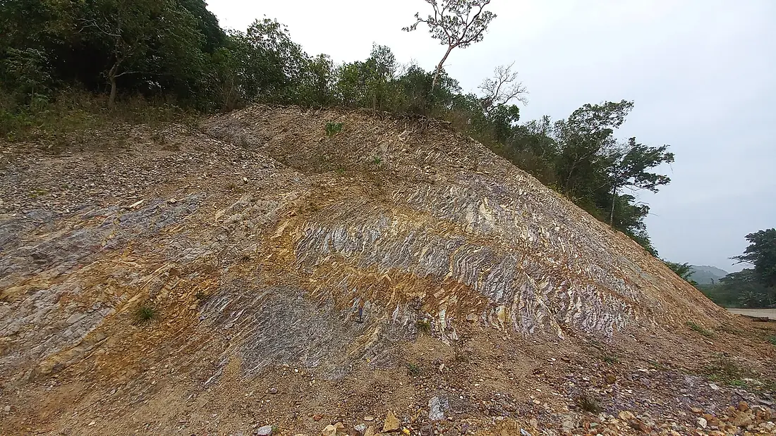 Highly deformed bedded cherts in Coron town, Busuanga (Lubos na naipit na mga batong tsert sa bayan ng Coron)