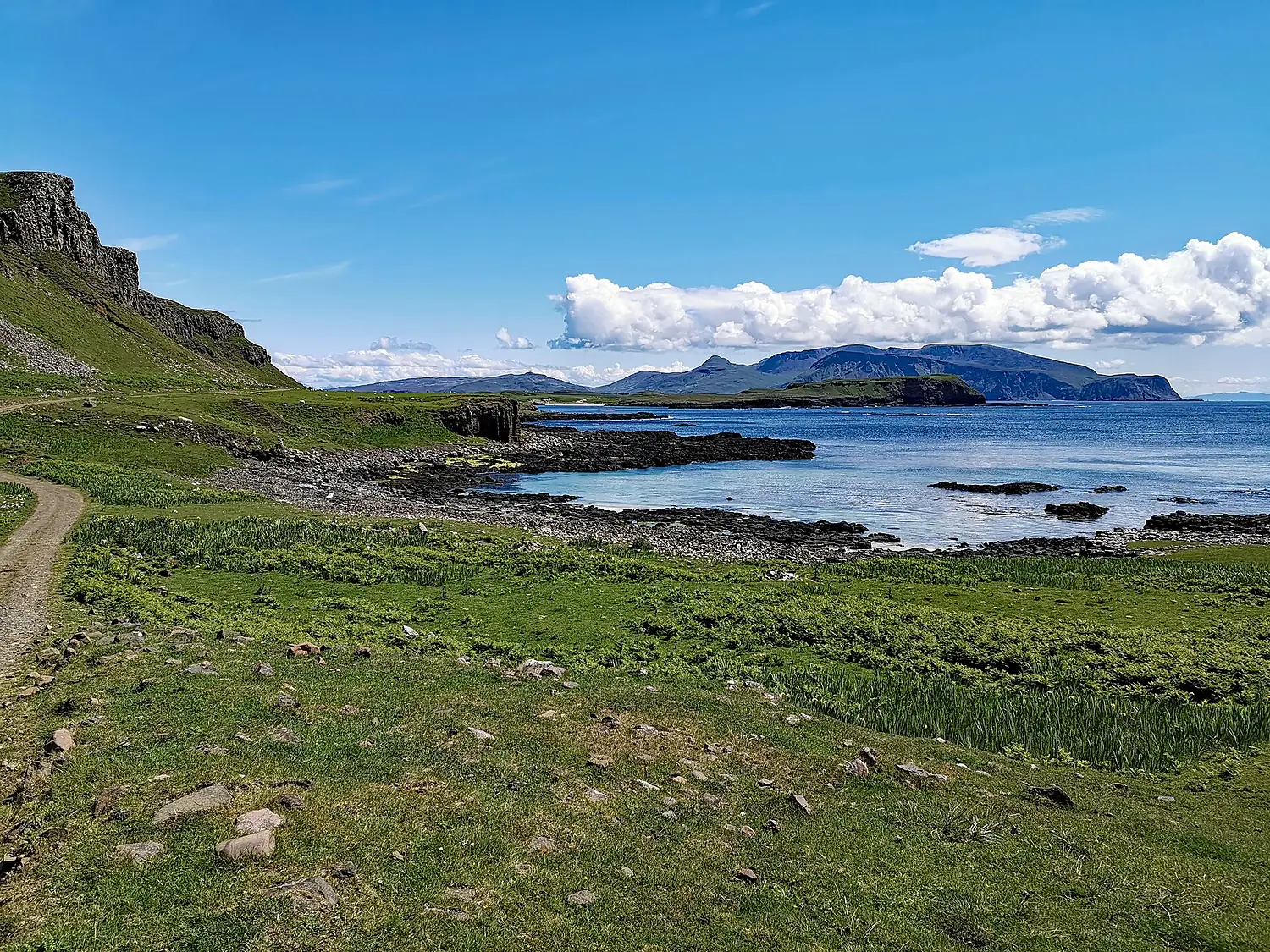 Canna (Canaigh) 18