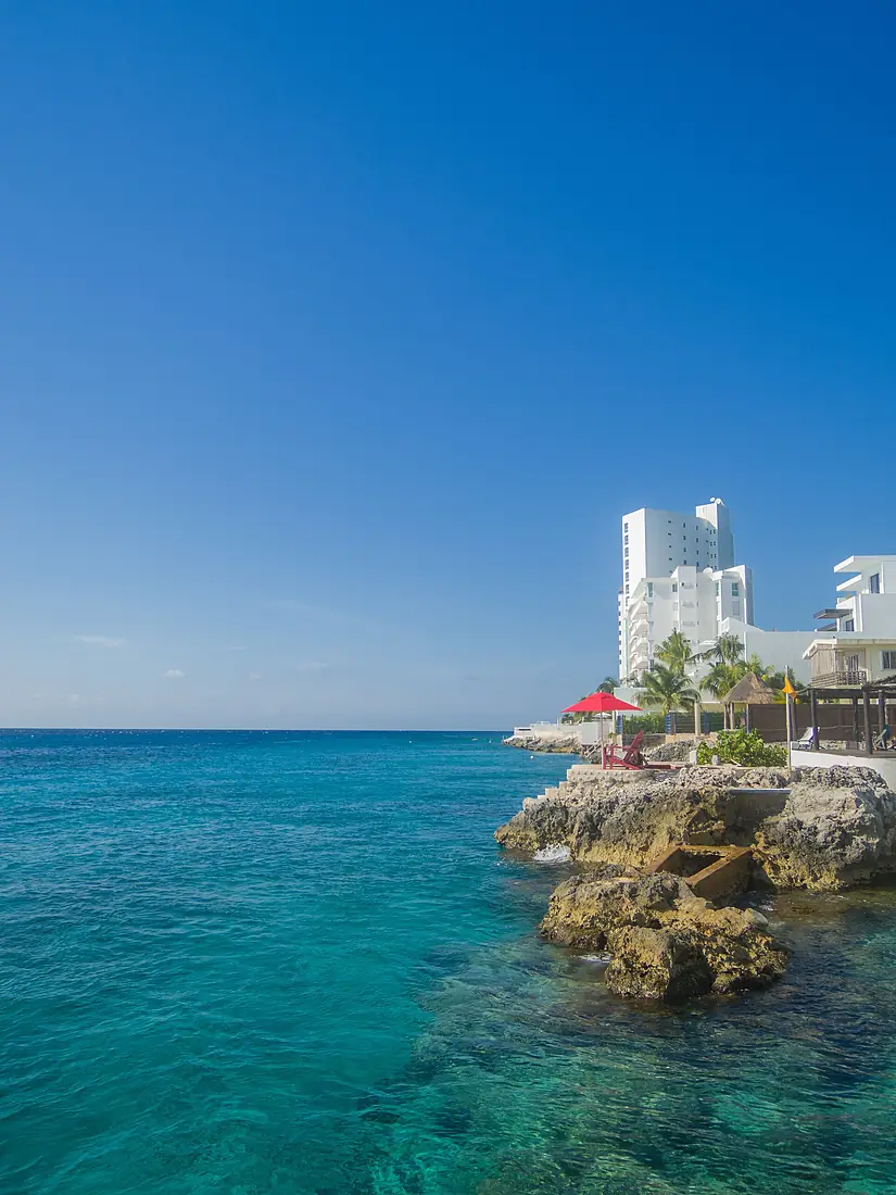 Beautiful Cozumel reef (21381884252)