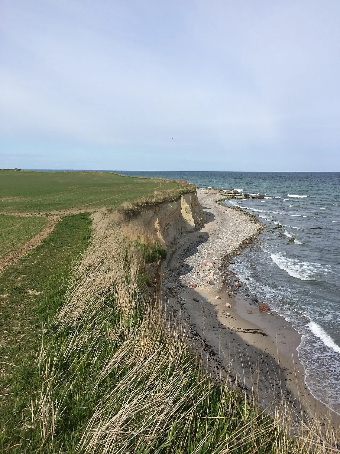 Falster - cliffs