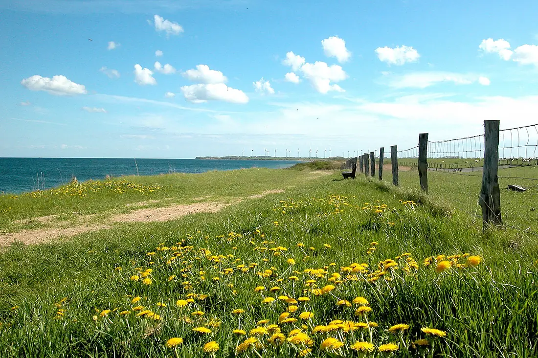 Fehmarn Nord-Ost-Strand