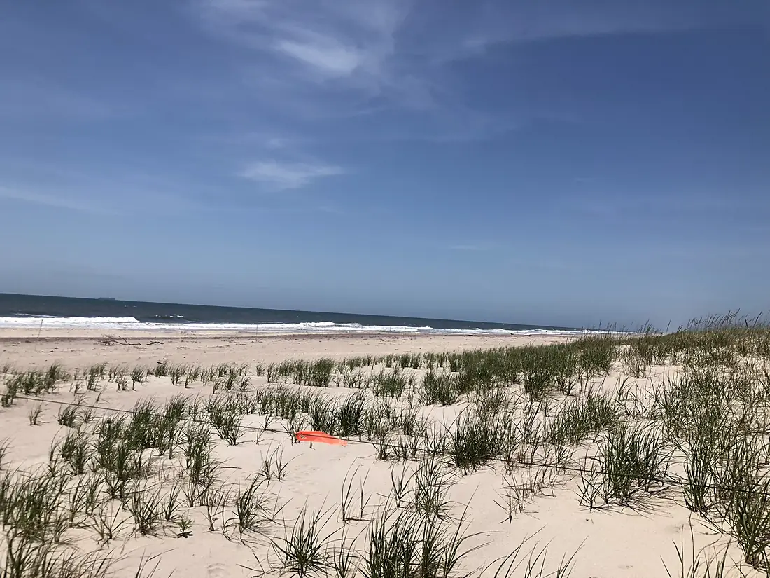 Fire island seashore with flags