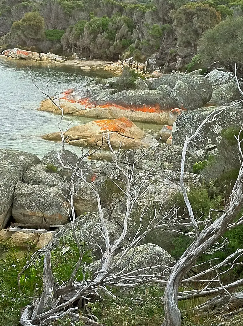 North East River, Flinders Is