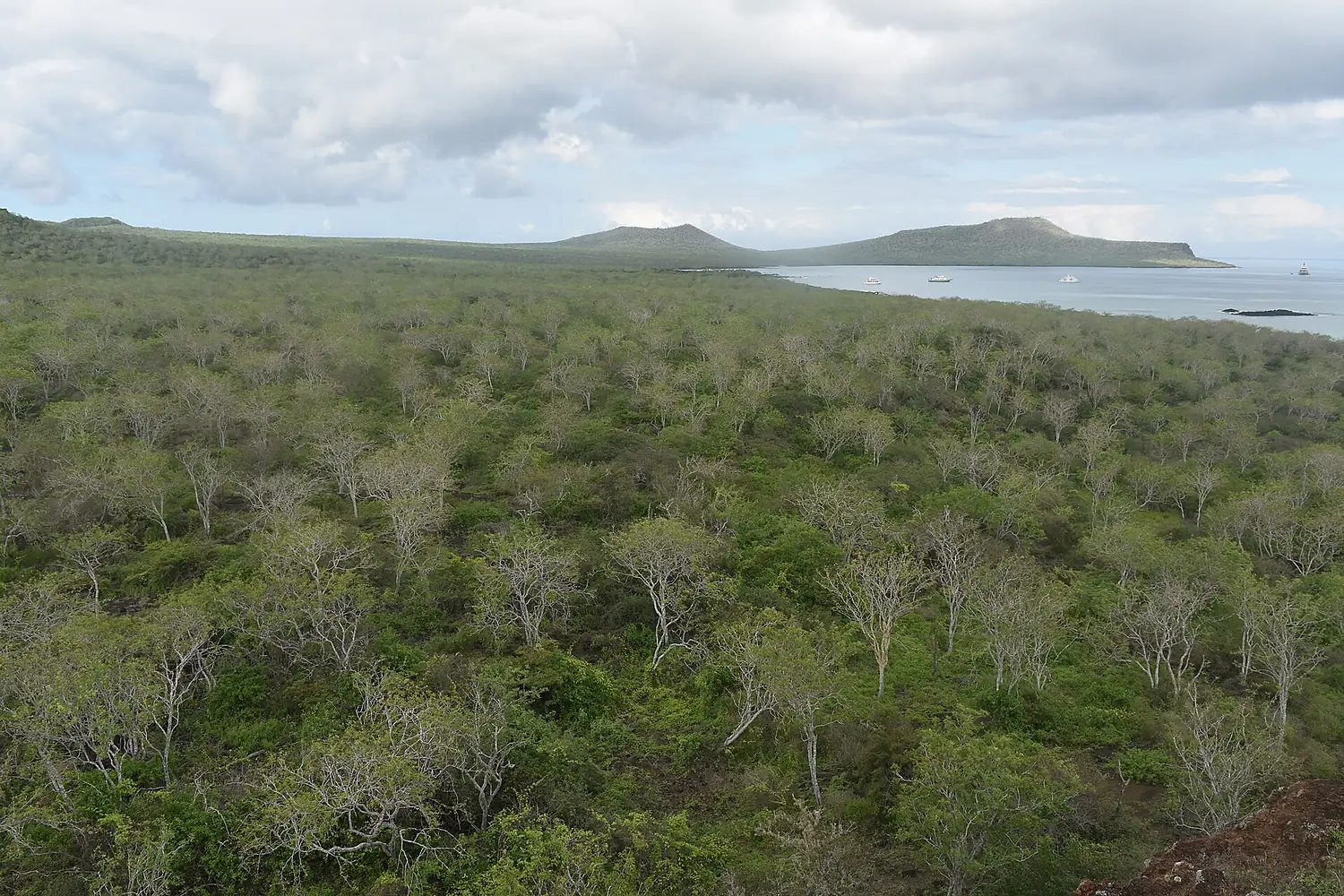 View of Post Office Bay, Floreana Island, from Mirador de la Baronesa