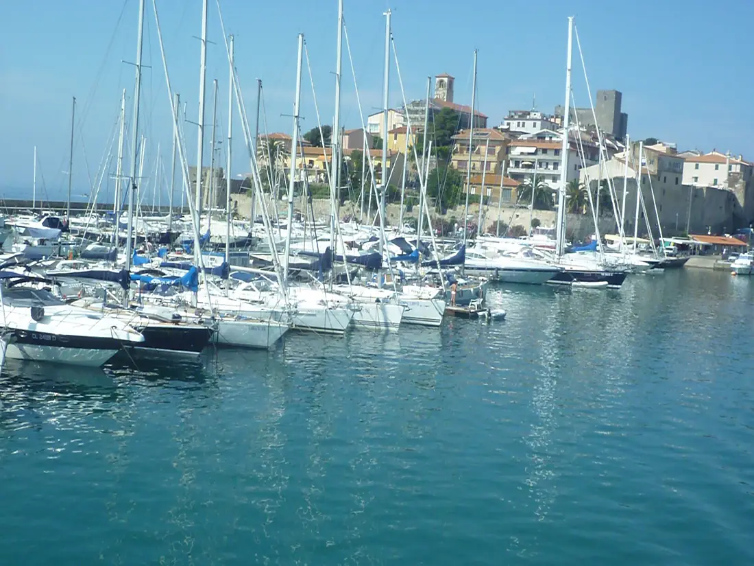 Isola del Giglio, Province of Grosseto, Italy - panoramio (7)