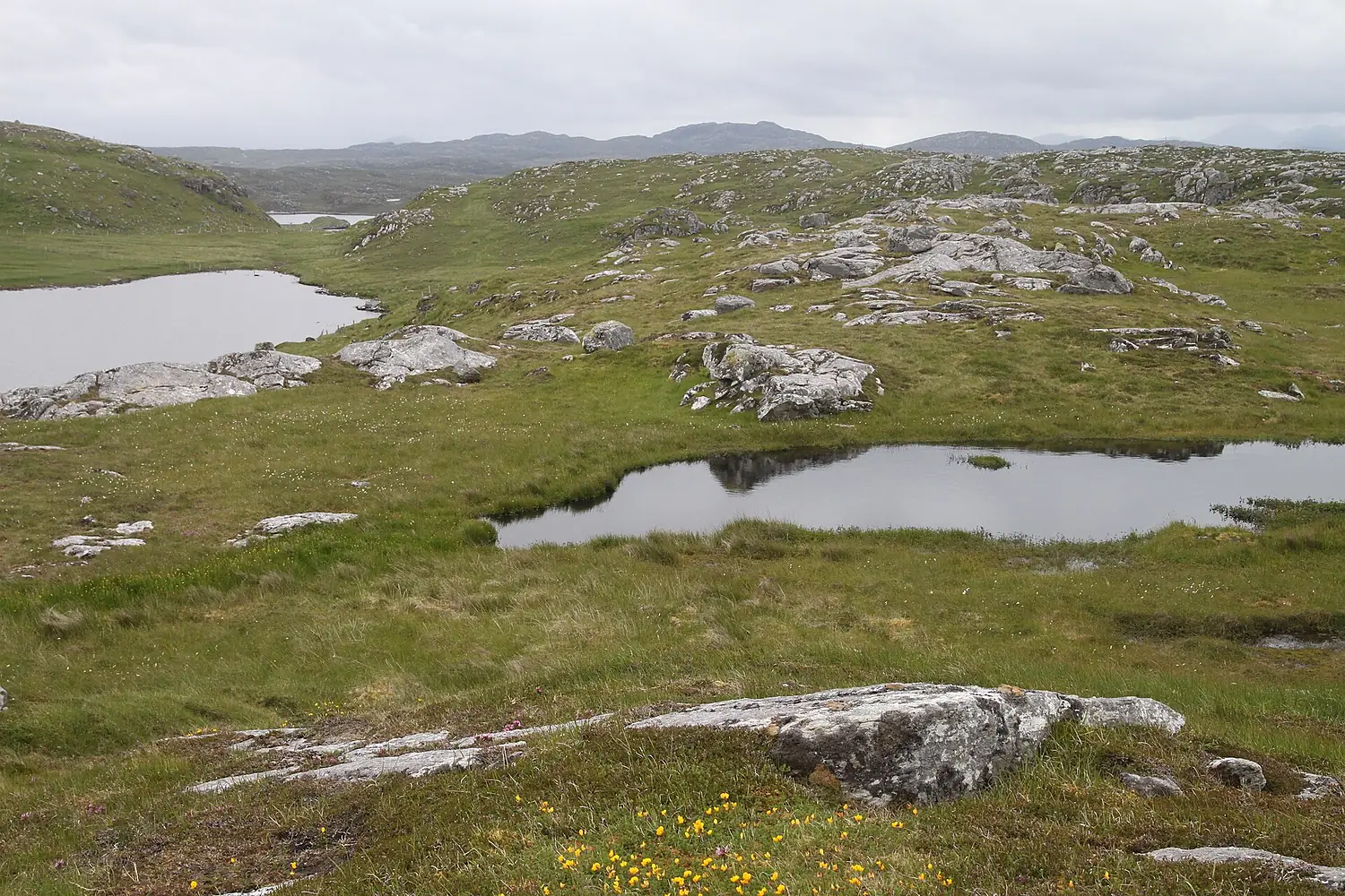 Great Bernera Landscape