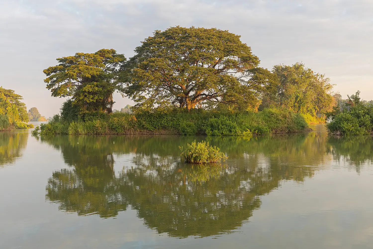 Water reflection of a green island at golden hour in Don Det Laos