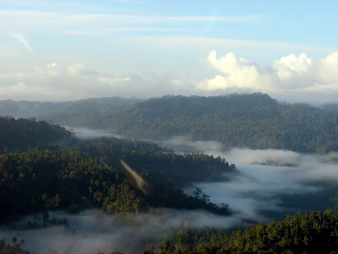 Halmahera Island
