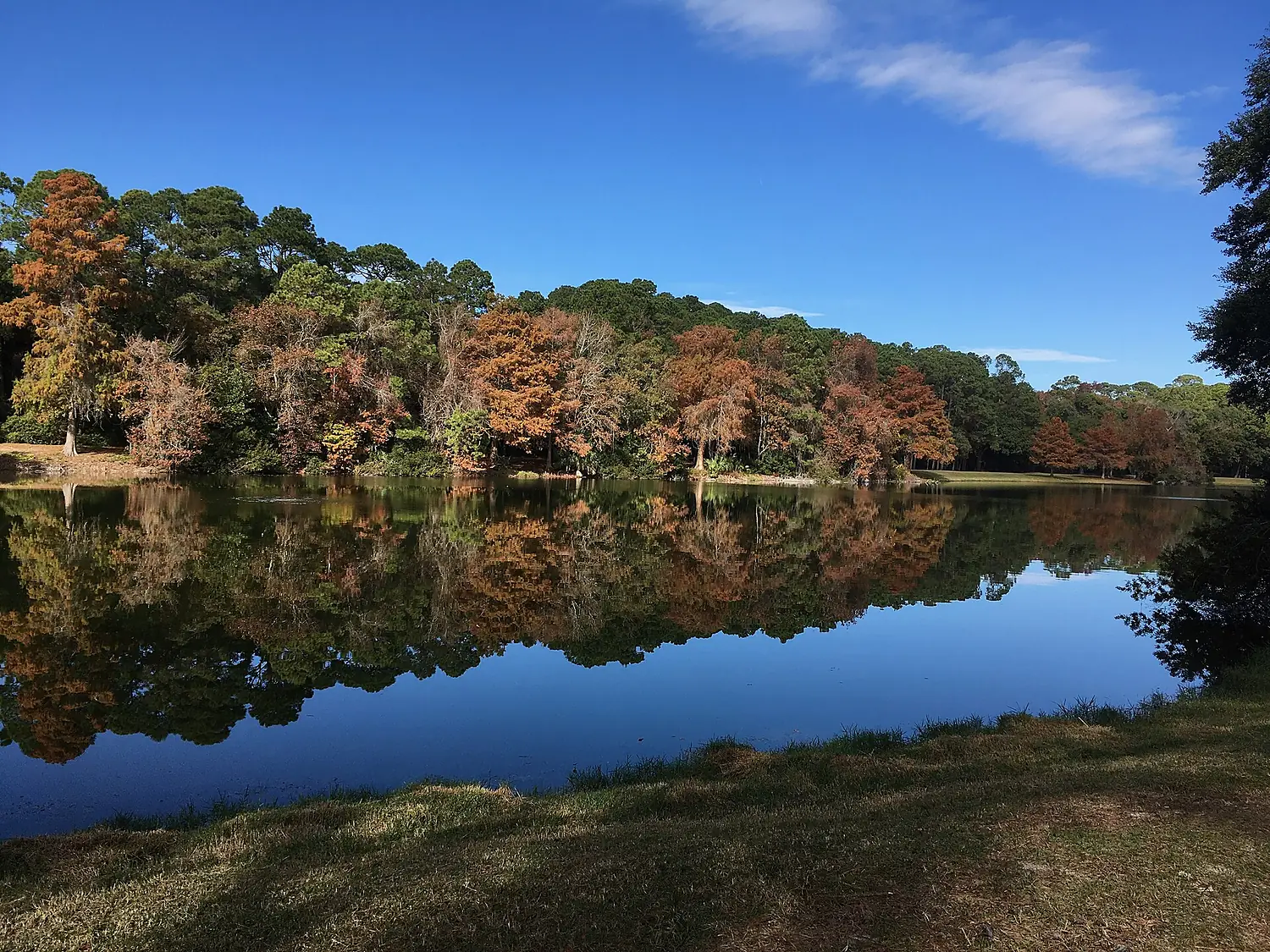 Lake Joe, Sea Pines Forest Preserve, Hilton Head