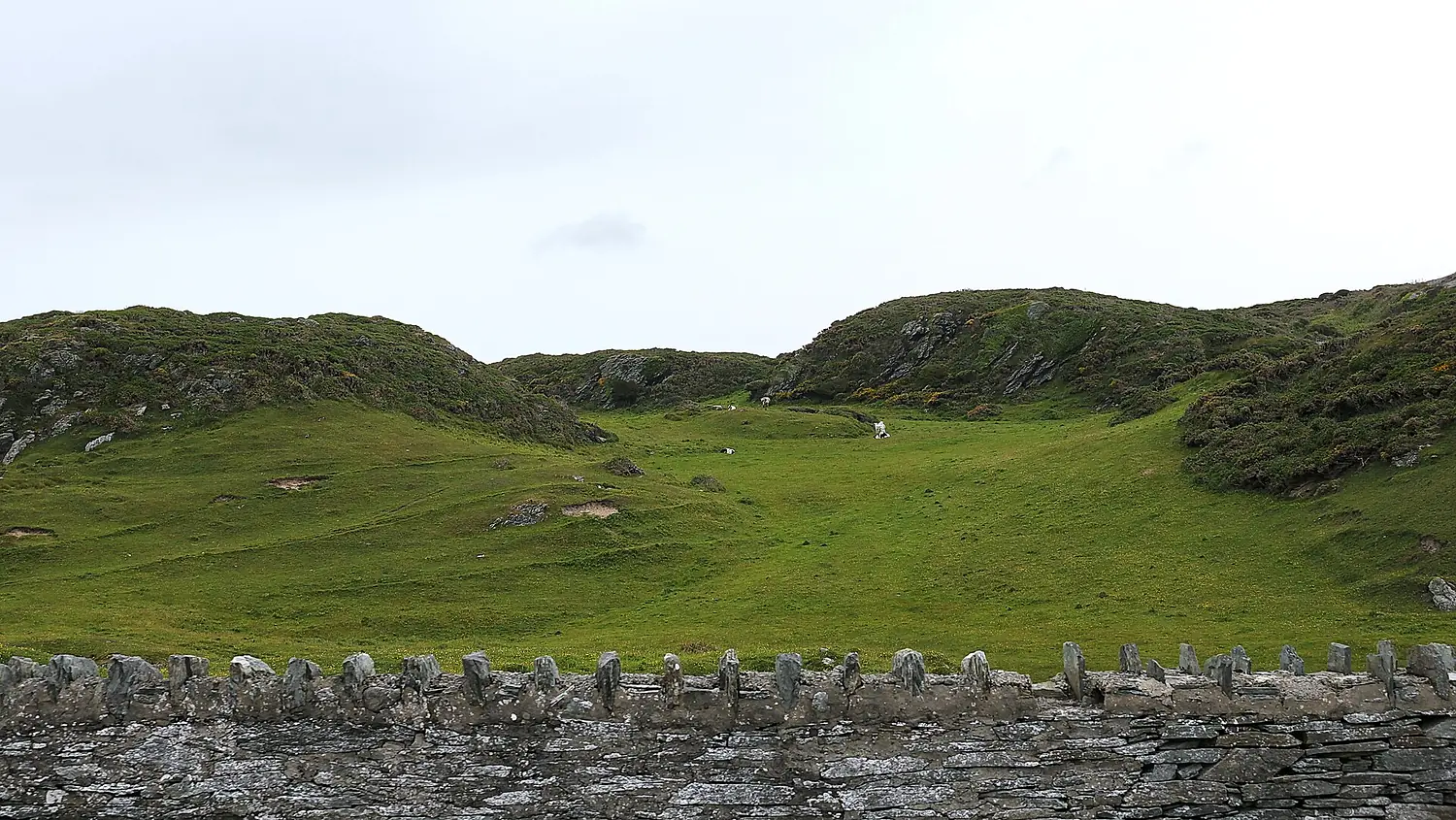 Lon Isallt Rd, Holy Island (507289) (33143385425)