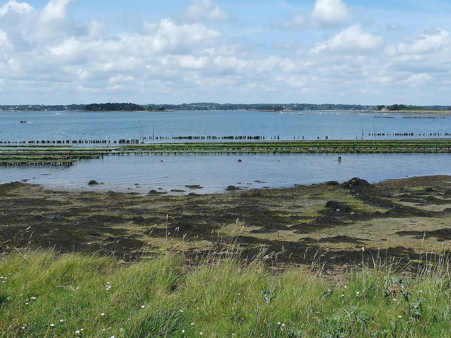 Île-d'Arz-Ostréiculture