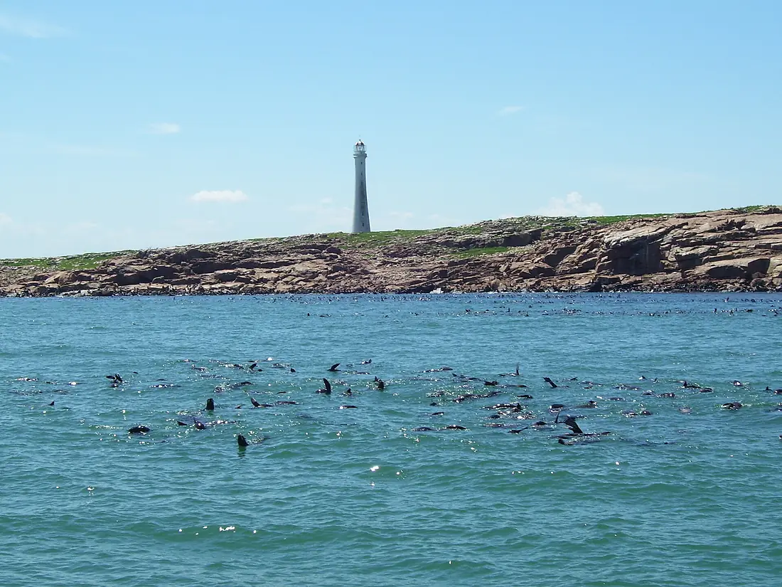 IslaDeLobos1