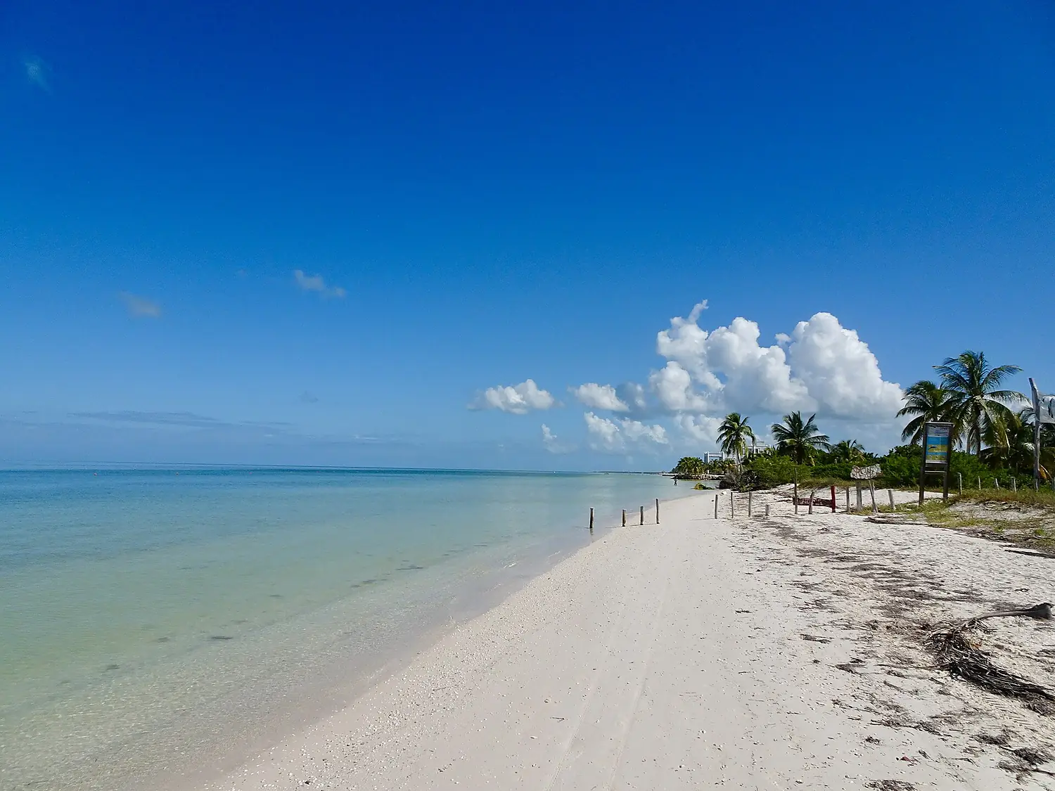 Isla Holbox (Mexico, November 2018) - 60 (51008397607)