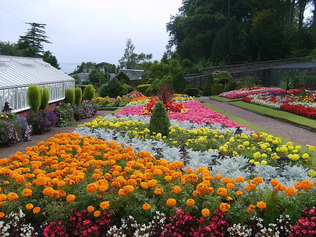 Ardencraig gardens Isle of Bute