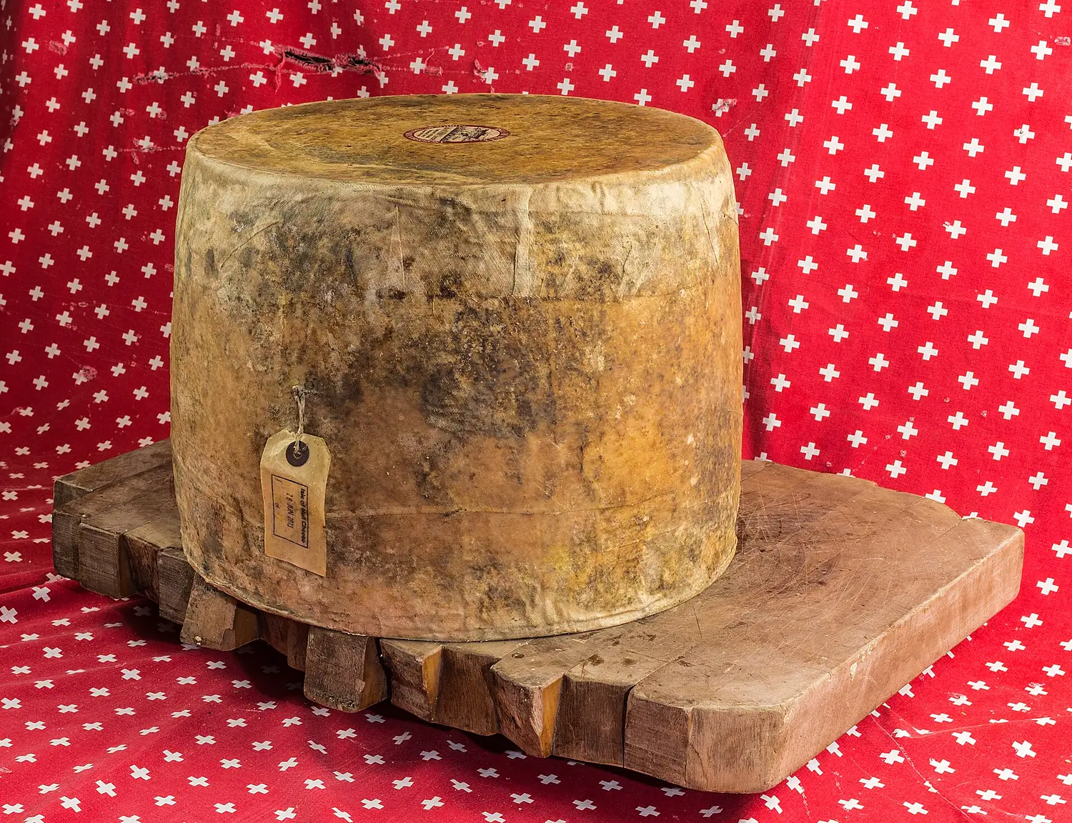 2015-01-25 Tobermory, Isle of Mull Cheese Sgriob-ruadh Farm - hu - 7902