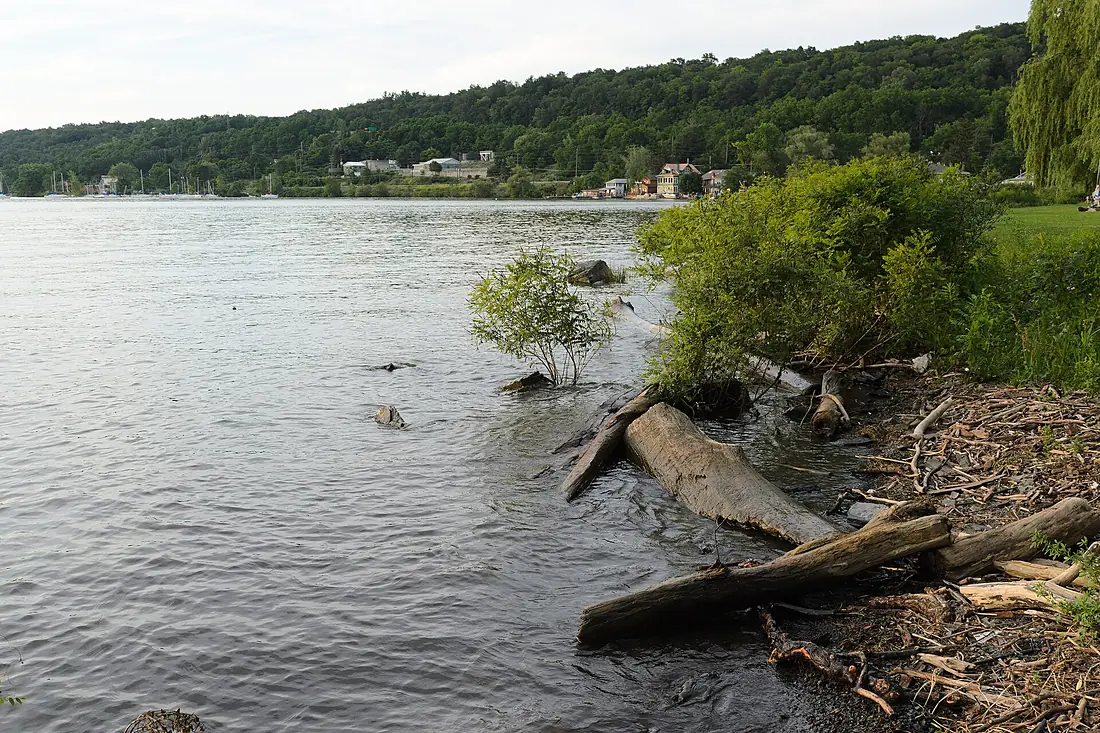 Stewart Park Ithaca July 2015 001