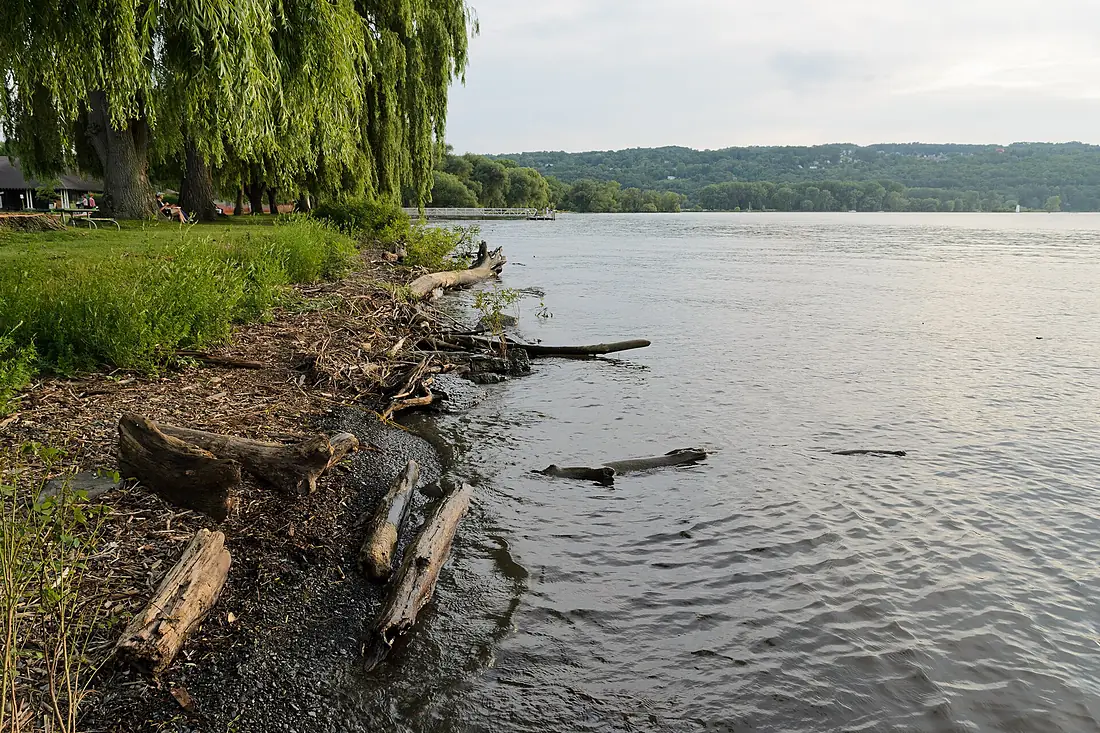Stewart Park Ithaca July 2015 002