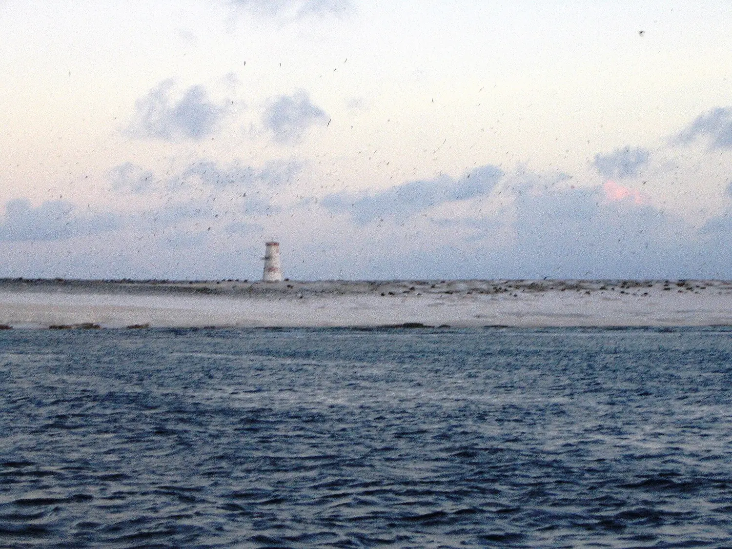 Jarvis Island October 2003