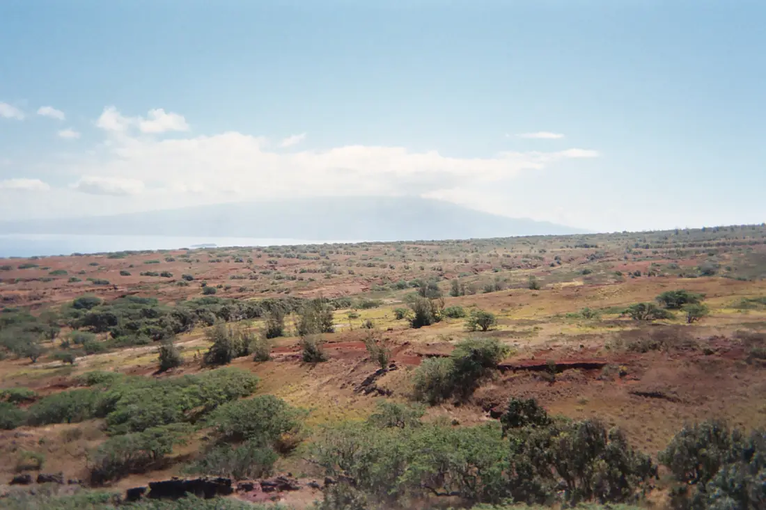 Kahoolawe vegetation