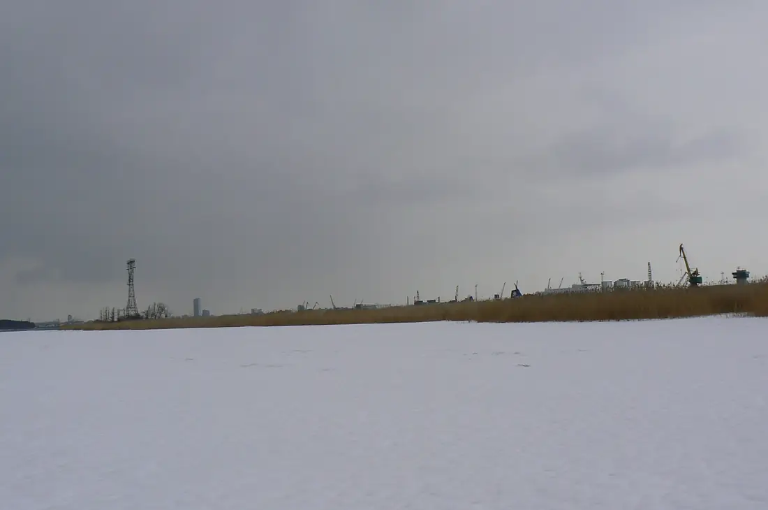 Kiaiulės Nugara5