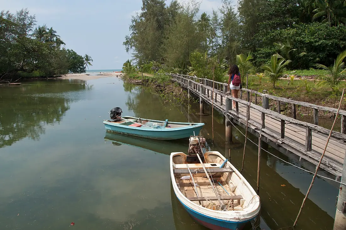 Coastal river lagoon, Ko Chang, Thailand