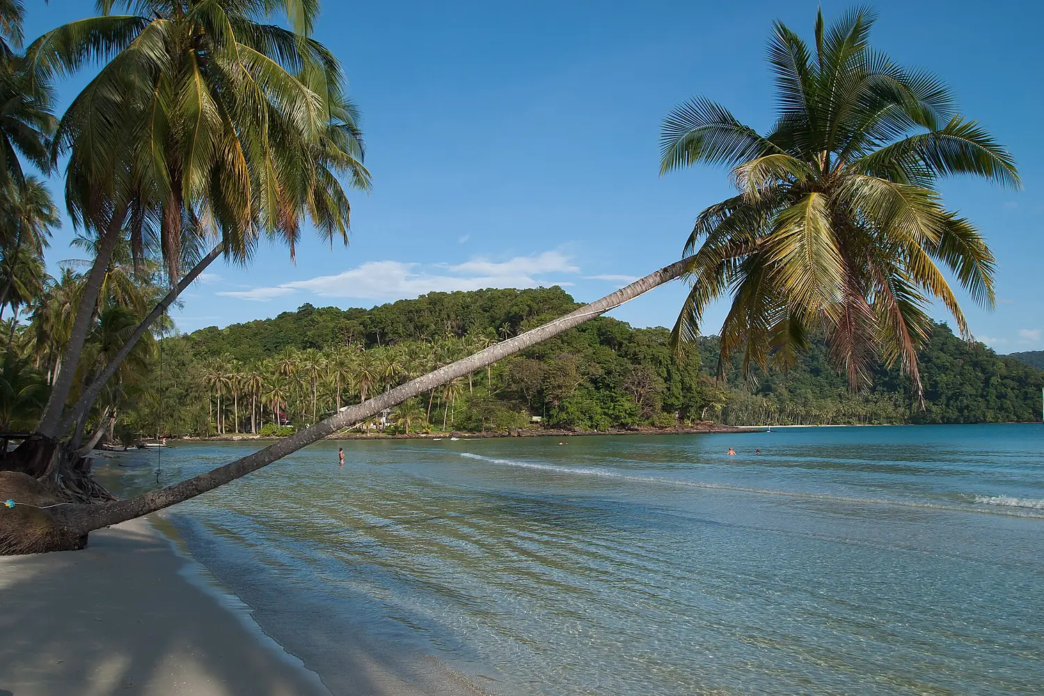 Koh Kut, Thailand, Palm trees, Lagoon