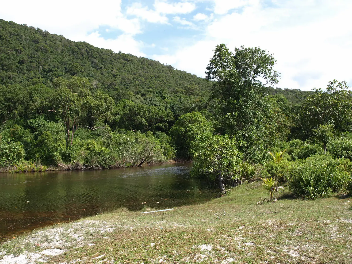 Koh Rong Sanloem estuary