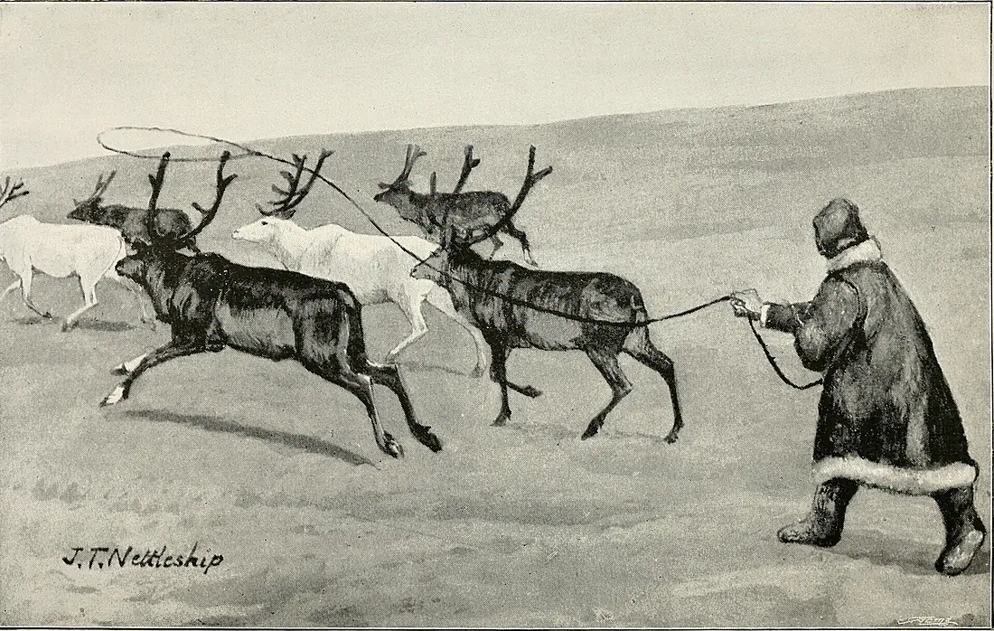 Ice-bound on Kolguev - a chapter in the exploration of Arctic Europe to which is added a record of the natural history of the island (1895) (14595270719)