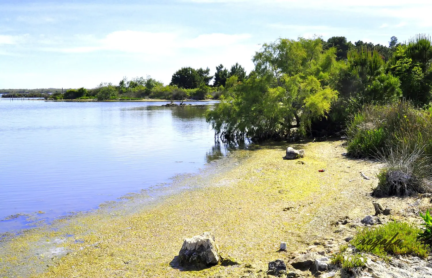 Laguna Kune 4
