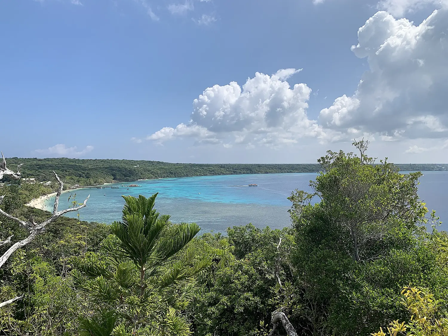 Lifou Island View No. 1