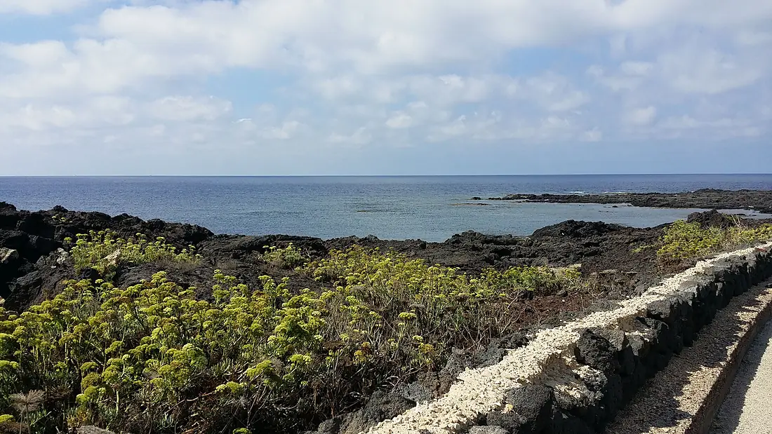 Linosa island