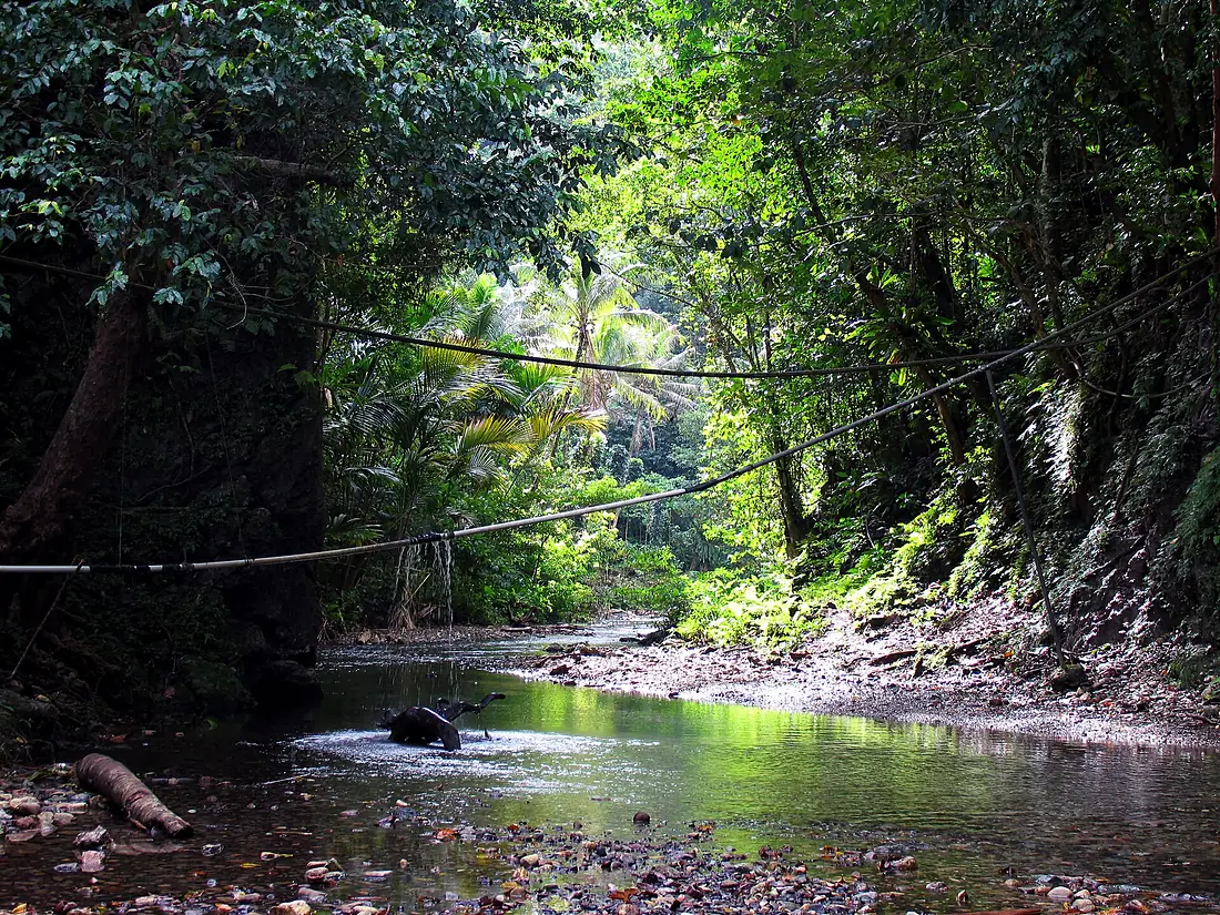 A quiet river scene in Malaita. A water pipe stretches across the river, a local villages water supply. (10662964066)