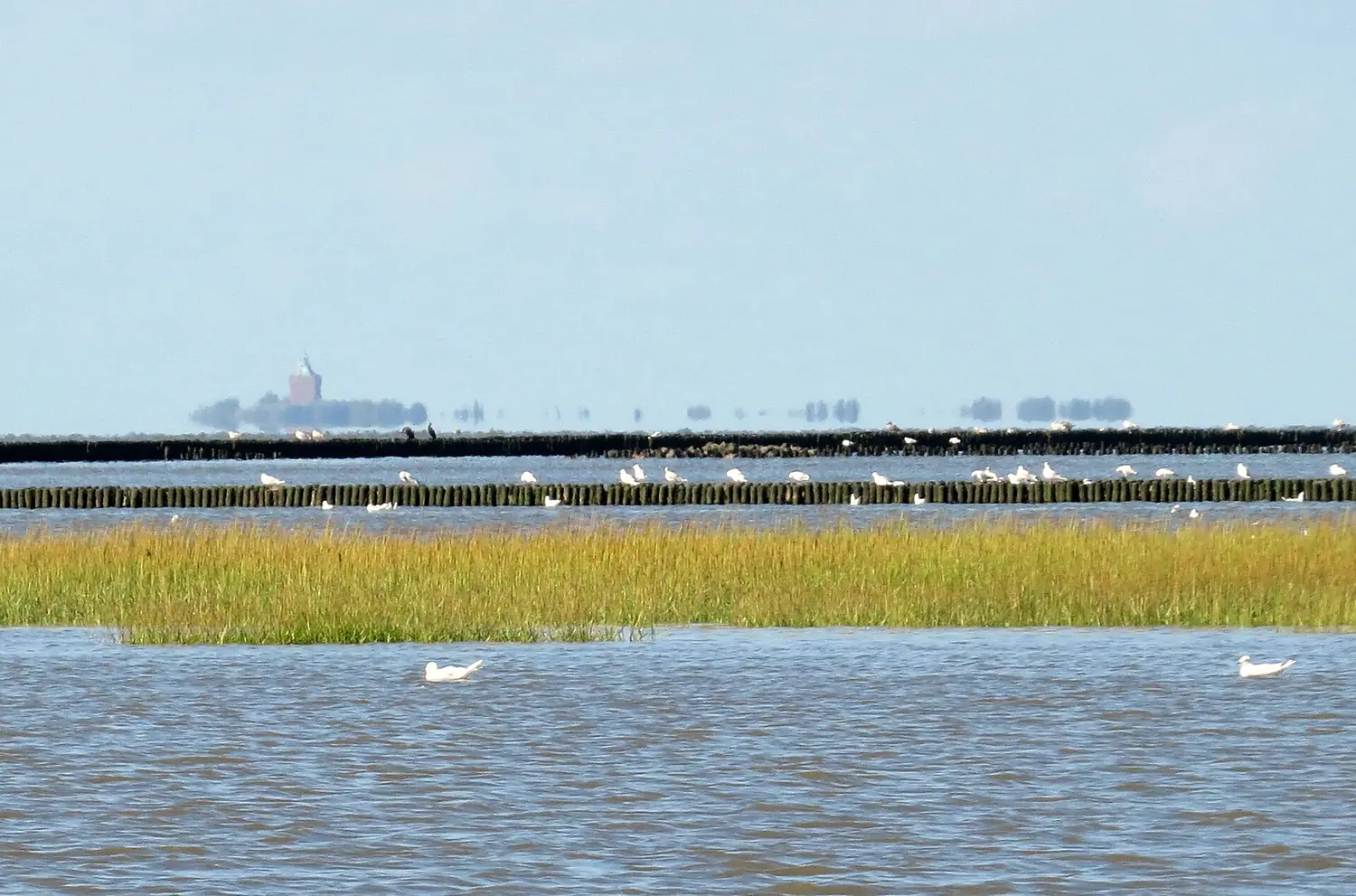 Fata Morgana der Insel Neuwerk