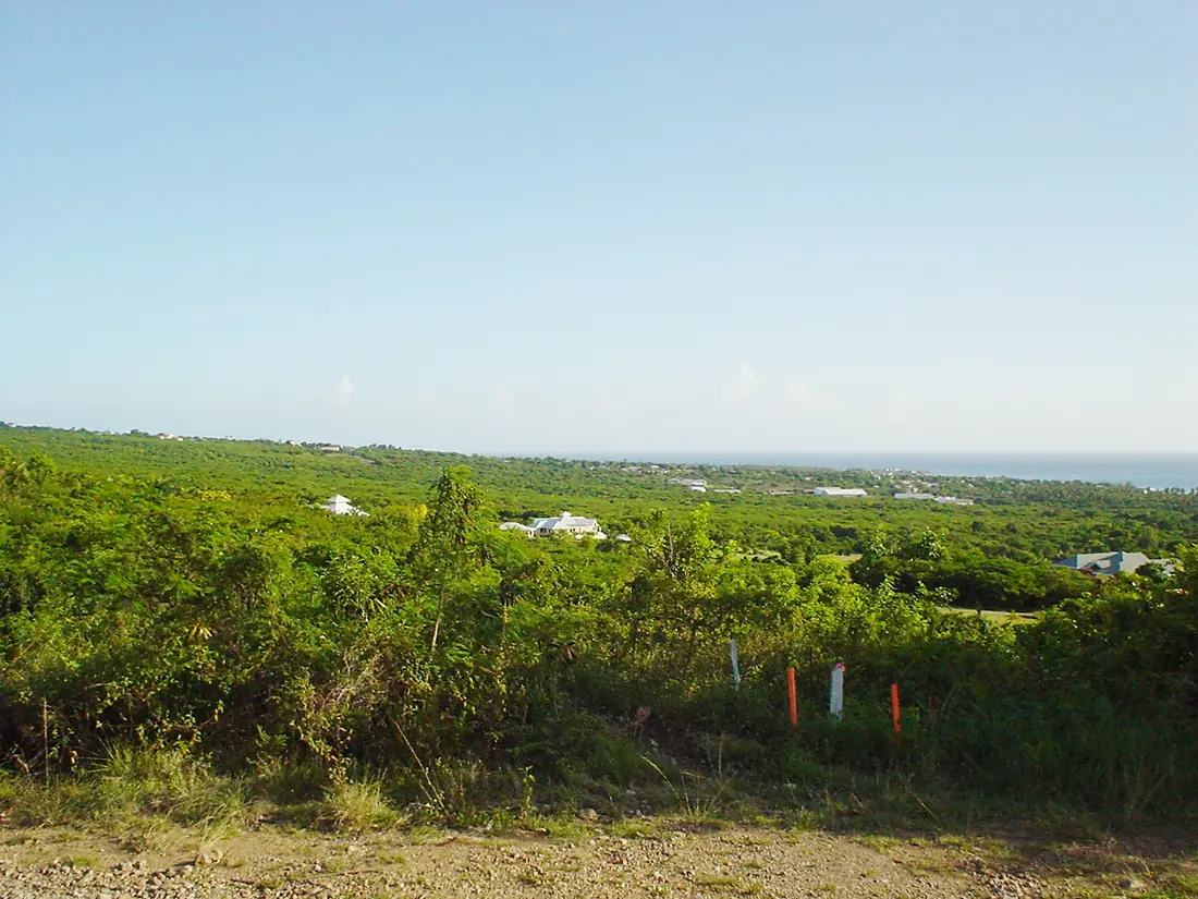 Nevis-lookingtosea