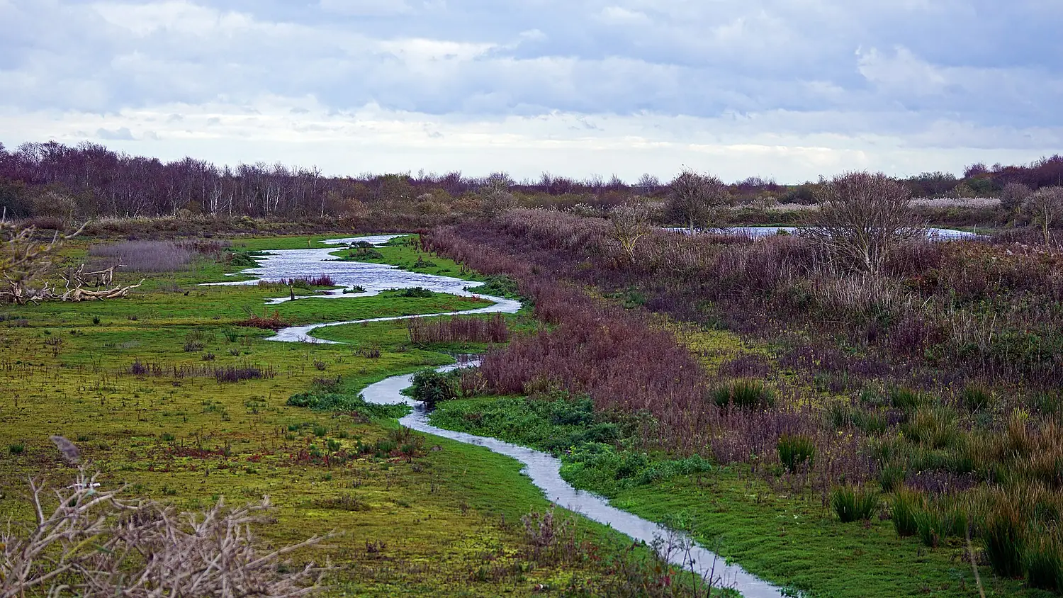 Am Südstrandpolder auf Norderney