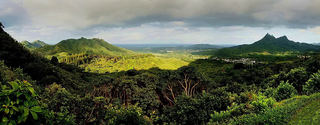 Oahu Landscape