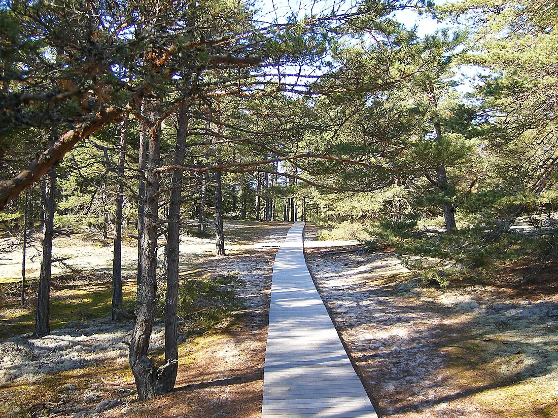 Homrevet, Northern Öland, Sweden