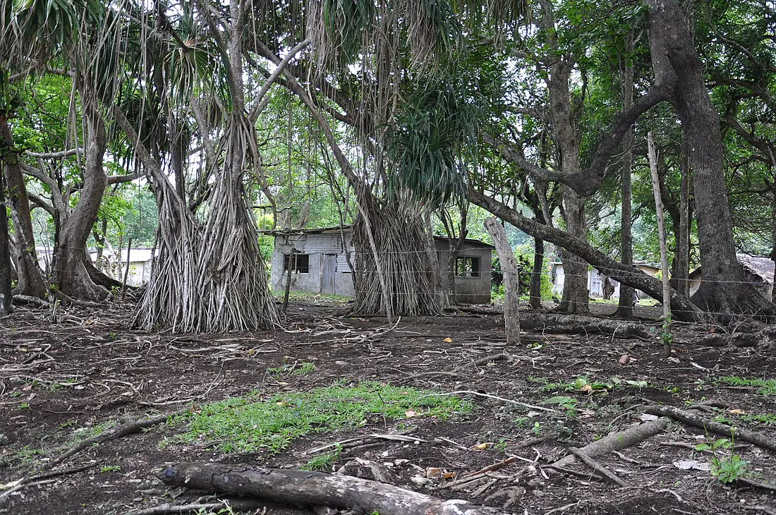 Pentecost Island Houses